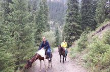 Horseback riding Tour