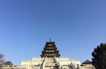 Small-Group Royal Palace and Seoul City Tour (hotel pick-up)