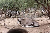 Out of Africa Wildlife Park Admission Ticket