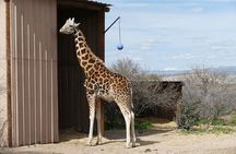 Out of Africa Wildlife Park Admission Ticket