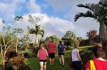 Princeville Botanical Gardens Tour and Chocolate Tasting Ticket