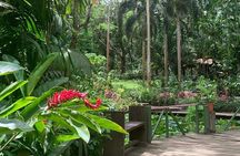 CFC Hot Spring Mud Pool,Garden Of Sleeping Giant And Village Visit Half Day Tour