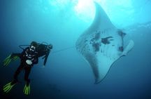 Scuba Diving 3 dives including Manta Rays at Nusa Penida 
