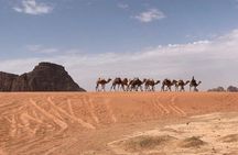 Full-Day Private Tour in Petra with Hotel Pick-Up