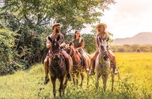 Horseback Riding to Conchal Beach from Tamarindo & Flamingo