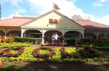 8-Hour Luxury Four Door Convertible Tour of Oahu's South and North Shores