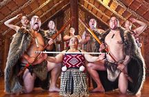 Bay of Islands Heritage Experience from Auckland incl. Waitangi & Russell