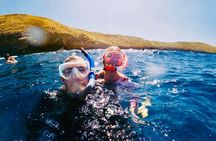 The Best 2 Hour Molokini Express Snorkeling