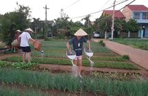 Hoi An Lantern Making Class and Silk Weaving- Vegetable Farming Private Tour