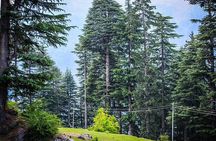 Explore Manali 