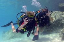 PADI Discover Scuba Dive at Coral Divers Curacao