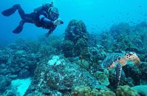 Guided shore dive on one of our house reefs for Certified Divers.