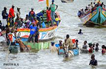 Full-Day PINK LAKE and FISHING VILLAGE combination 