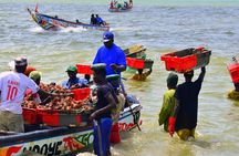 Full-Day PINK LAKE and FISHING VILLAGE combination 