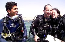 Private Intro Scuba Dive – Aqaba Coral Reefs