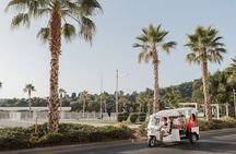 Expert Tour of Malaga in Private Eco Tuk Tuk