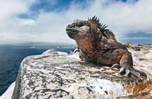  4-Day Galapagos Island Hopping Tour: Isabela, Boat Tours and Airport Transfer