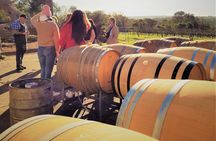 Secret Delights: Wine, Coffee, Artisan and Forest Tour
