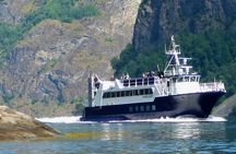 Guided Fjord & Glacier Tours - Vik