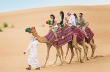 Desert Safari with BBQ dinner and camel ride