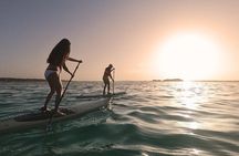 Private Paddle Tour at Sunrise