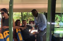 Explore Montego Bay Jamaica Tour from Montego Bay to Y S Falls 