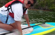 Stand Up Paddling Mangrove Lagoon Tour