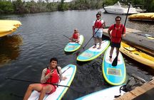Stand Up Paddleboard Rental in St Thomas