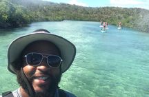 Stand Up Paddling Mangrove Lagoon Tour