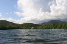 Stand Up Paddling Mangrove Lagoon Tour