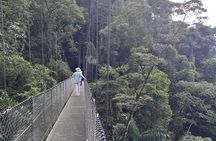 Private Hanging Bridges + Waterfall Tour + Costarrican Lunch