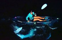 Thousand Islands Bioluminescent Kayak Tour with Cocoa Kayaking!