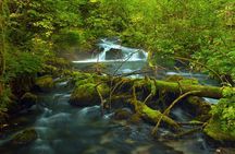 Plitvice Lakes Private Guided Walking Tour