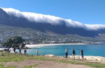 FULL Day Cape of Good Hope and Boulders Penguin Colony