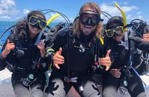 Coral Sea Dreaming Overnight Dive, Snorkel and Sail