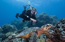 Coral Sea Dreaming Overnight Dive, Snorkel and Sail