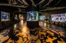 Cairns Aquarium by Twilight Tour and 3-Course Dinner