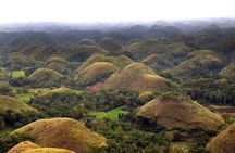 Bohol Highlights Tour: Chocolate Hills, Tarsier Spotting and Loboc River Cruise