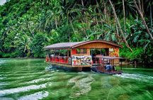 Bohol Highlights Tour: Chocolate Hills, Tarsier Spotting and Loboc River Cruise