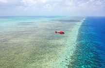Great Barrier Reef 30-Minute Scenic Helicopter Tour from Cairns