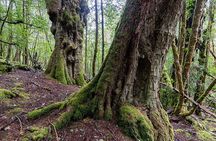 3-Day Cradle Mountain Photography Workshop