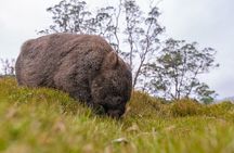 3-Day Cradle Mountain Photography Workshop