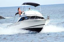 Whale and dolphin watching tour Los Gigantes and Masca in small groups