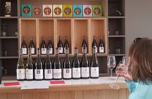 Private wine tasting workshop by Dufouleur - Bourgogne