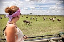 4-Day Basic Safari with Serengeti, Ngorongoro, & Tarangire 