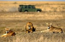 4-Day Basic Safari with Serengeti, Ngorongoro, & Tarangire 