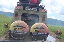 Ngorongoro Crater Day Trip