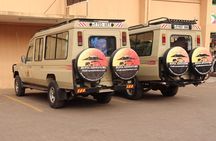 5 Days Marangu Route - Mount Kilimanjaro Trek