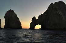 Sunset Whale Cruise in Cabo San Lucas