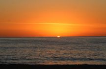 Sunset Whale Cruise in Cabo San Lucas